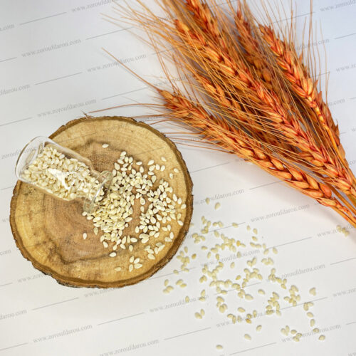 شیشه ویال 5 سی سی - Image 6